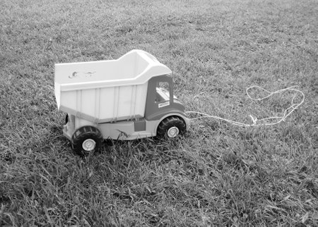 Photo on theme of plastic large children's toy truck on blue rope lying on green grass in summerの写真素材