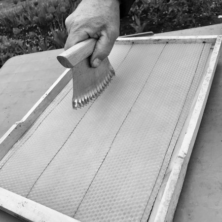Winged bee slowly flies to honeycomb collect nectar for honey on private apiary from flowers. Honey photo consisting of honeycomb, pollen on bees legs. Nutrition from honeycomb is honeyed bee honey.の写真素材