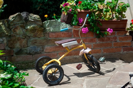 Antique tricycle in gardenの写真素材