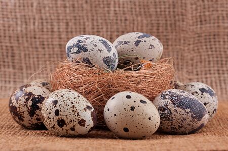 Quail organic eggs with straw in nest on rustic wooden background.の写真素材