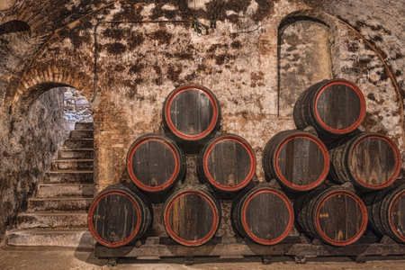 Champagne caves and barrels with champagne and pupitres in Hautvillers near Reims and Epernay.のeditorial素材