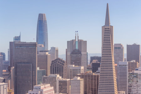 San Francisco skyline seen from Coit Towerのeditorial素材