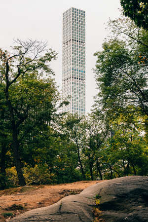 Central Park with morning bright sunlight and urban skyscrapers in New York City.のeditorial素材