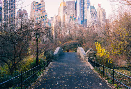 Panoramic view from Central Park to skyscrapers at sunny day. New York Cityのeditorial素材