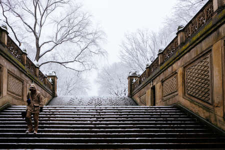 Central Park, New York City during winter snow stormのeditorial素材