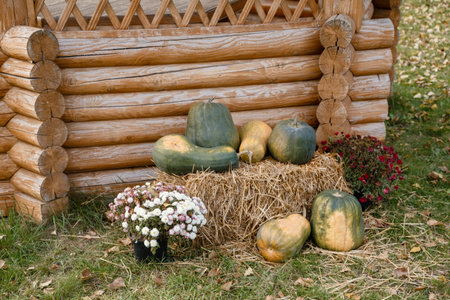 An old tree stump in the parkの写真素材