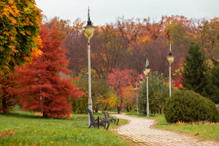 Driving around the temple. Gig chualitis photo Tiny beautiful plants in Sri Lankaの写真素材