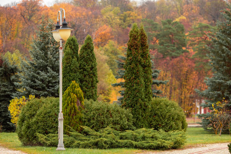 Mountains during sunset. Beautiful natural landscape in the summer time. High quality photoの写真素材
