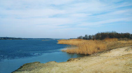 lake blue reeds blue sky beach sand nature landscapeの写真素材
