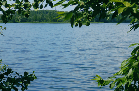 Views of the blue lake through the green leaves summerの写真素材