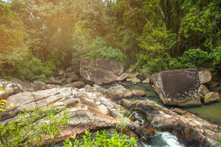 A small mountain river in a tropical jungle. Beautiful bright landscapeの写真素材