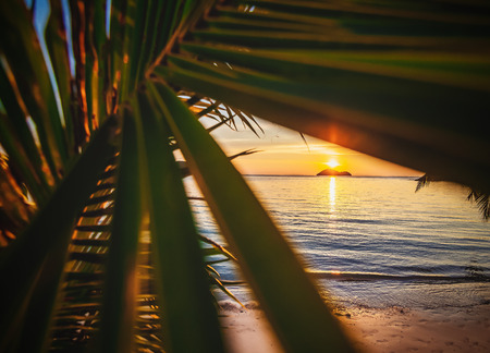 Beautiful bright landscape, stunning bright sunset, wallpaper, background and texture for advertisingの写真素材