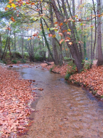 Autum river landscape in the forestの写真素材