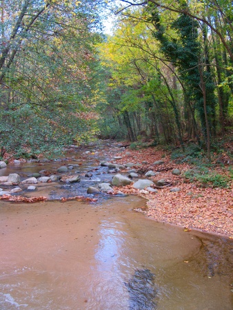 Autum river landscape in the forestの写真素材