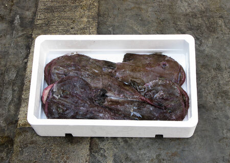 mediterrean fresh monkfish, polystyrene boxの写真素材