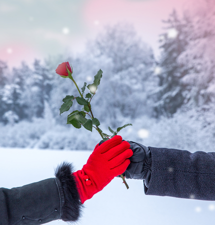 Valentines day background. Valentines dayの写真素材