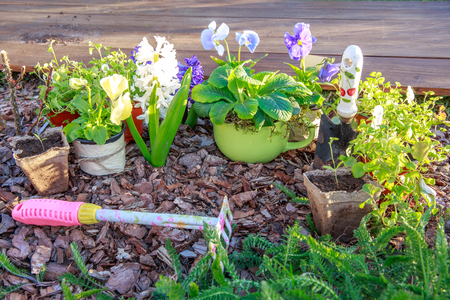 Outdoor gardening tools and flowersの写真素材