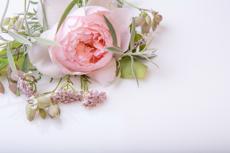 Beautiful English rose flower bouquet on white backgroundの写真素材
