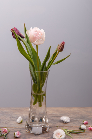 Bouquet of spring tulips flowers isolated on wooden backgroundの写真素材