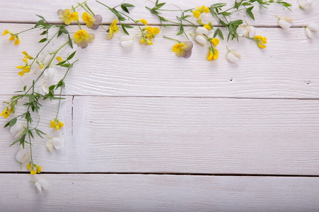 Yellow Wildflowers wooden backgroundの写真素材