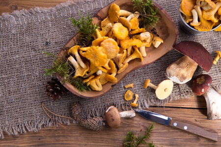 Wild fresh mushrooms on a rustic wooden table. Copyspace.の写真素材