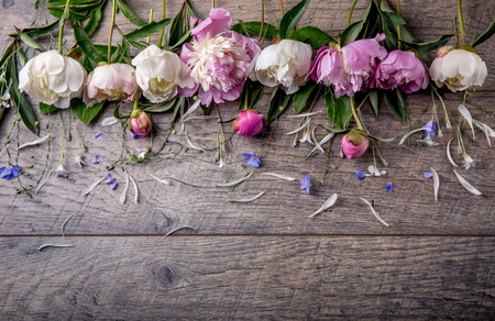 Stunning pink and white peonies on rustic wooden background. Copy space. Mother's, Valentines, Women's Wedding Day concept.の写真素材