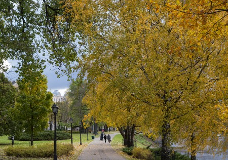Road in the city park in autumn. Golden autumn...の写真素材