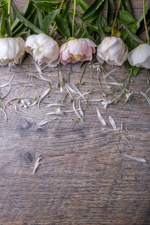 Stunning pink peonies on white rustic wooden background. Copy spaceの写真素材
