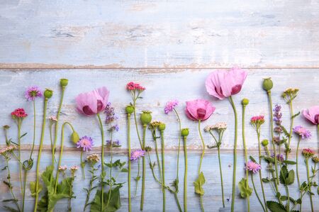 Wildflowers poppy on wooden backgroundの写真素材