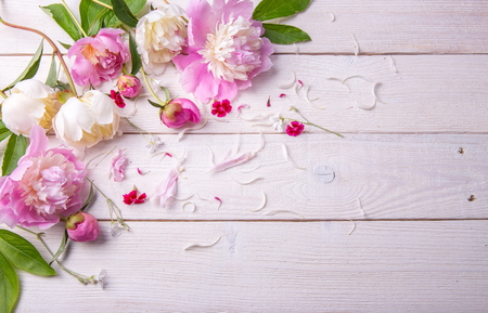Stunning pink and white peonies on rustic wooden background. Copy space. Mothers, Valentines, Womens Wedding Day conceptの写真素材