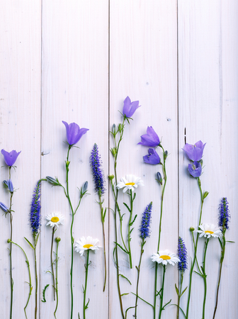 Wildflowers daisies and bells on white wooden backgroundの写真素材