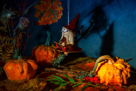 Mysterious good witch on a broom in a fairy night autumn forest with pumpkins, halloween witch toy doll pendant.の写真素材