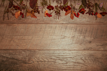 Autumn arrangement of colorful leaves, acorn, chestnut fruit on a wooden background with free space...
