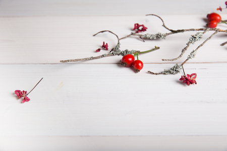 Christmas, New Year or Autumn background, flat lay composition of Christmas natural ornaments and fir branches, berries, rose hips and winter branches covered with moss, empty space for greeting text, congratulations, invitationsの写真素材