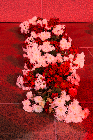 Night view of the Freedom monument Brivibas piemineklis , decorated with fresh flowers and light effects. Light festival Staro Riga Beaming Riga celebrating 99th anniversary of independence.の写真素材