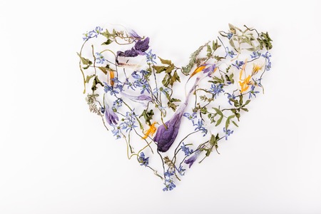 Flowers composition. Frame made of dried flowers on white background. Flat lay, top viewの写真素材