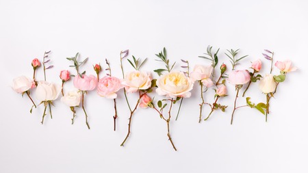 Festive flower English rose composition on the white background. Overhead top view, flat lay. Copy space. Birthday, Mother's, Valentines, Women's, Wedding Day concept.の写真素材