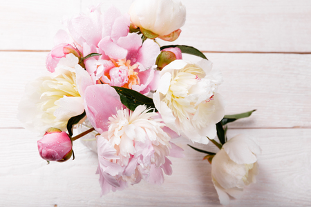 Delicate white pink peony with petals flowers and white ribbon on wooden board. Overhead top view, flat lay. Copy space. Birthday, Mother's, Valentines, Women's, Wedding Day concept.の写真素材
