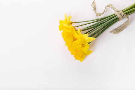 Spring floral border, beautiful fresh daffodils flowers, isolated on white background. Selective...