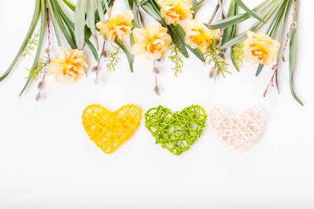 Spring floral border, beautiful fresh daffodils flowers, isolated on white background. Selective focusの写真素材