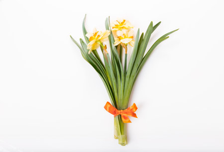 Spring floral border, beautiful fresh daffodils flowers, isolated on white background. Selective focusの写真素材