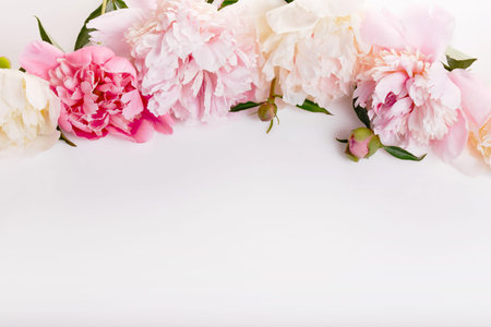 Delicate white pink peony with petals flowers and white ribbon on white. Overhead top view, flat lay.の写真素材