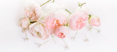 Festive flower composition on the white wooden background. Overhead viewの写真素材