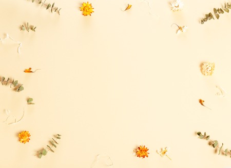 Flowers composition. Frame made of yellow flowers on beige background. Flat lay, top view, square, copy spaceの写真素材
