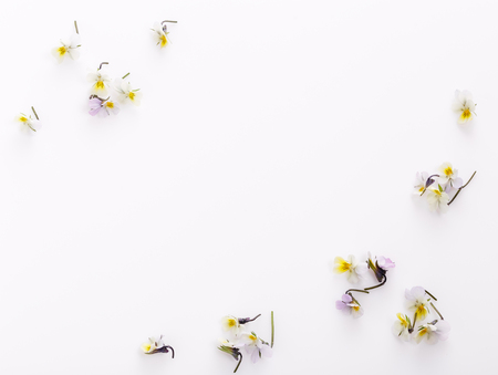 Floral pattern on a white background, small white yellow flowersの写真素材