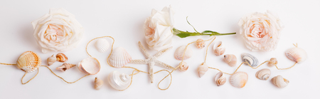 Banner summer background with white seashell and starfish on white.の写真素材