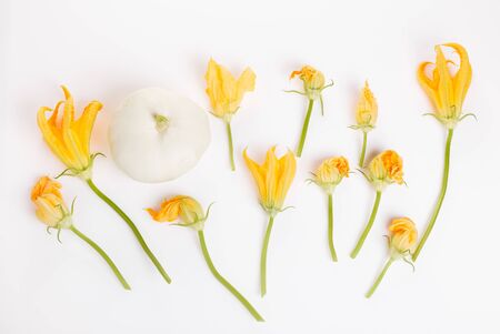 fresh green zucchini with slice isolated on white backgroundの写真素材
