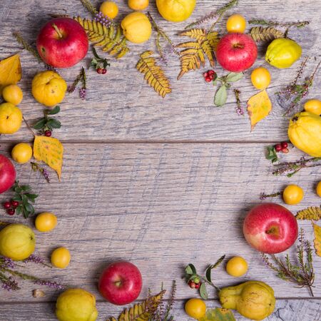 Autumn leaf composition with picture frame. Copy space.の写真素材