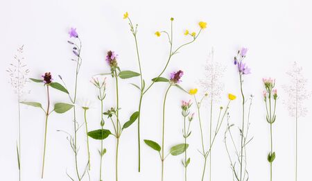 Floral pattern with wildflowers, green leaves, branches on white background. Flat lay, top view.の写真素材