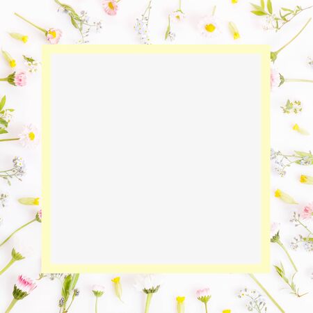 Festive flowers frame, composition on white background. Overhead top view, flat lay, square. Copy space.の写真素材
